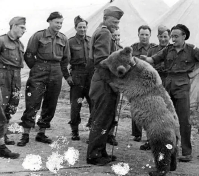 Zapasy z żołnierzem. Ulubiona rozrywka całej kompanii.