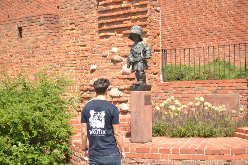 Corporal Wojtek T-Shirt Męski Granat, zdjęcie 7 z 7